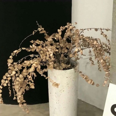 兽设科幻风格创作福瑞交流群